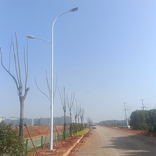 武漢市江夏區海康南路